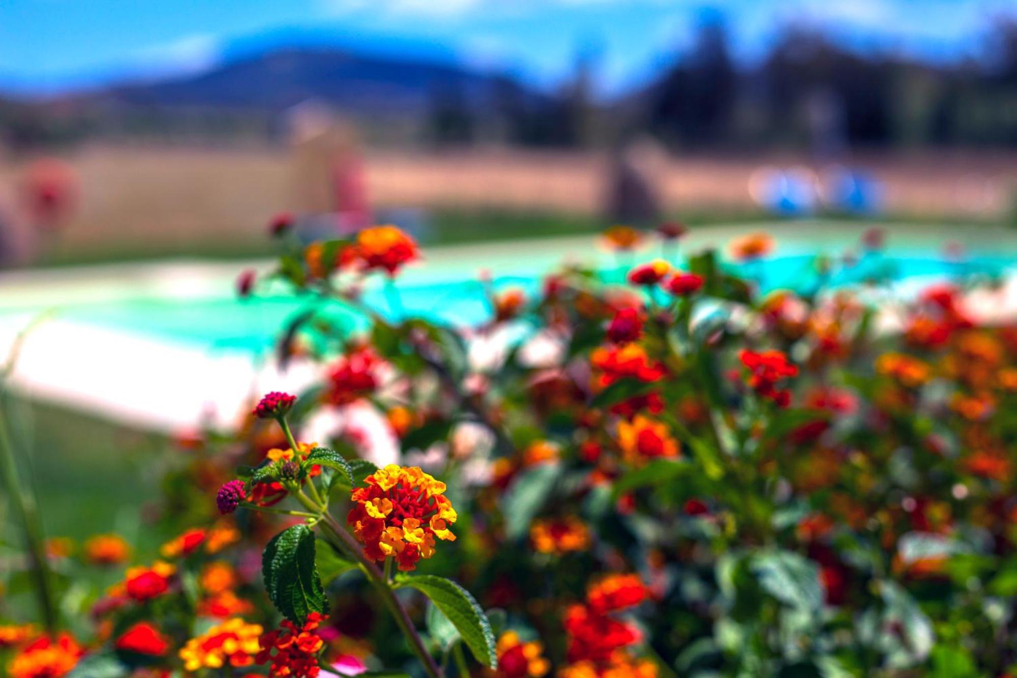 Agriturismo Piperedda Irgoli Zewnętrze zdjęcie